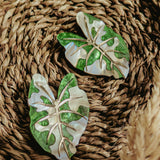 Two decorative brooches shaped like green monstera leaves with white accents rest on a woven natural fiber surface, resembling hand-crafted jewelry. Beige pampas grass adds a soft touch in the lower right corner.
