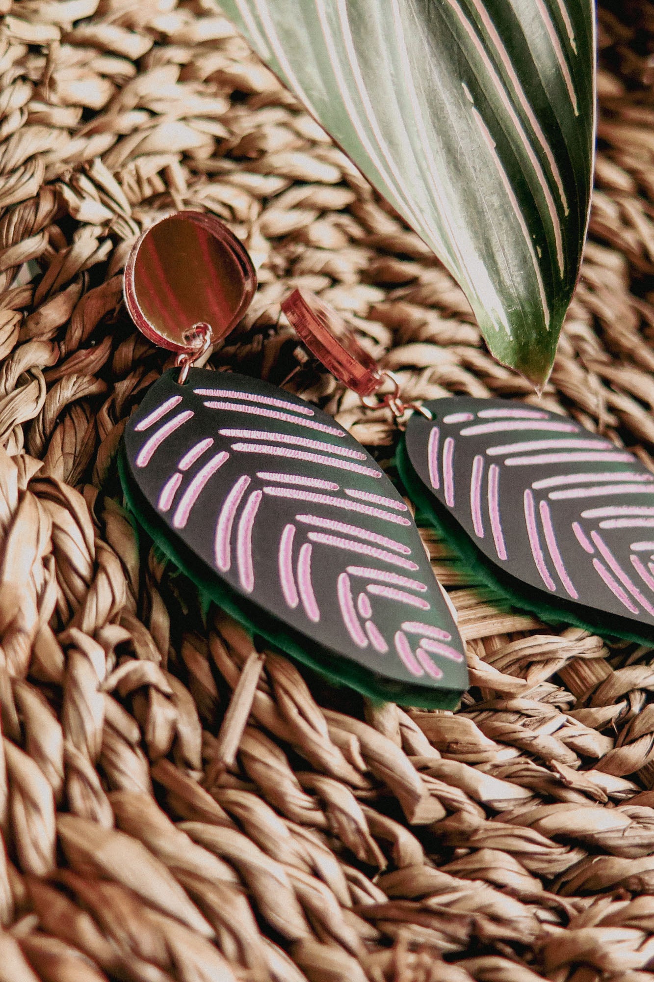 A pair of leaf-shaped, handcrafted earrings with pink and white line designs rest on a woven straw surface beside a green leaf with light stripes, echoing the beauty of Calathea Ornata Earrings and tropical nature jewelry.